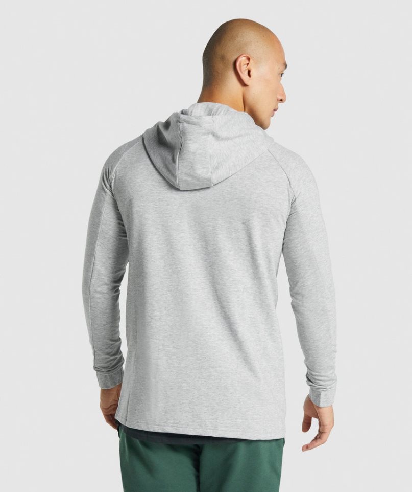 Men's Gymshark Critical 2.0 Zip Up Hoodie Light Grey | NZ 2LWESP